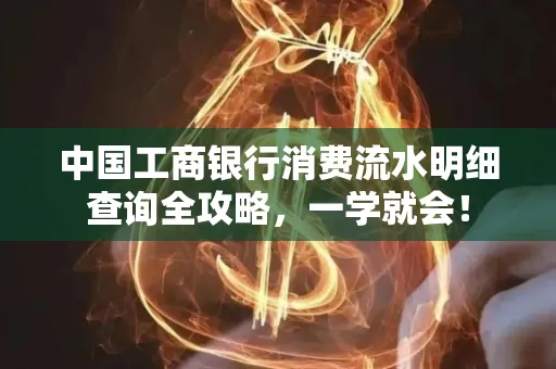 中国工商银行消费流水明细查询全攻略，一学就会！