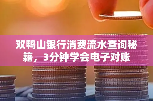 双鸭山银行消费流水查询秘籍，3分钟学会电子对账
