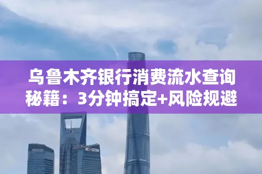 乌鲁木齐银行消费流水查询秘籍：3分钟搞定+风险规避干货