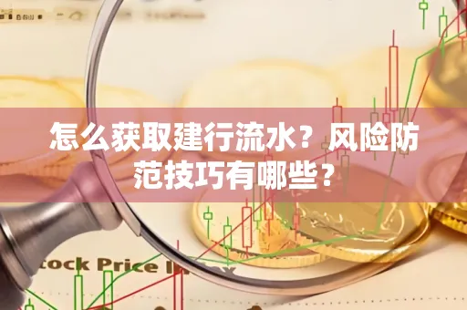 怎么获取建行流水？风险防范技巧有哪些？