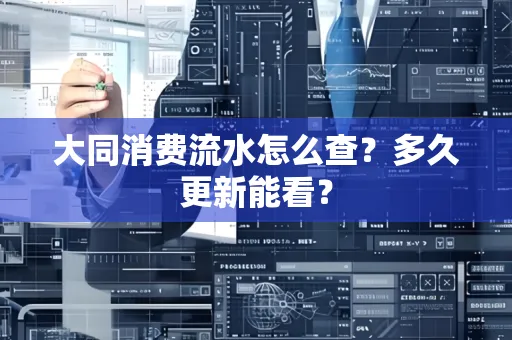 大同消费流水怎么查？多久更新能看？